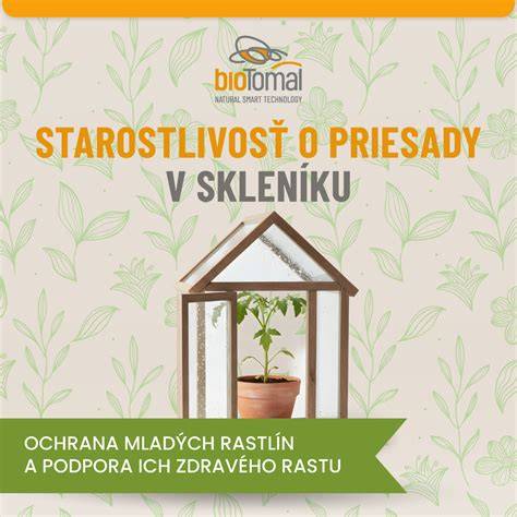 Infografika: Správne rozmiestnenie záhonu a striedanie plodín