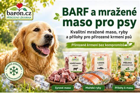 infografika_kvalita_krmiv_psov.png