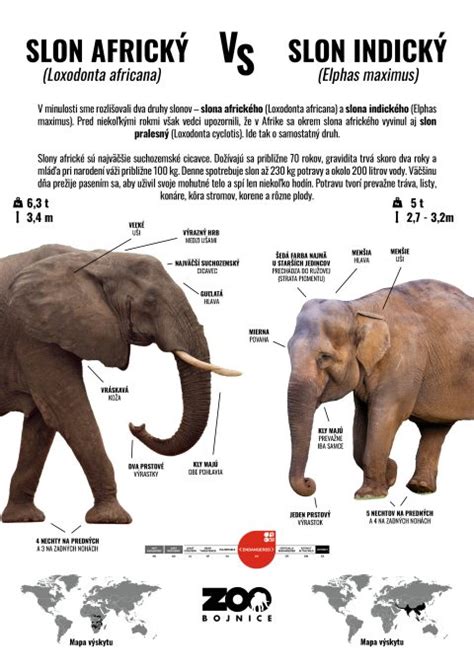 Infografika: Rozdiel medzi tradičnou a modernou metódou výroby tvarohu