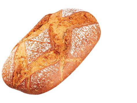 Mapa dostupnosti celozrnných toastových chleba Lidl a Kaufland