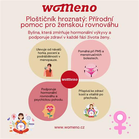 Infografika: Složky ľubovníka a ich účinky