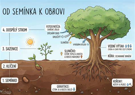 Infografika: strom významov chleba v Biblii a liturgii