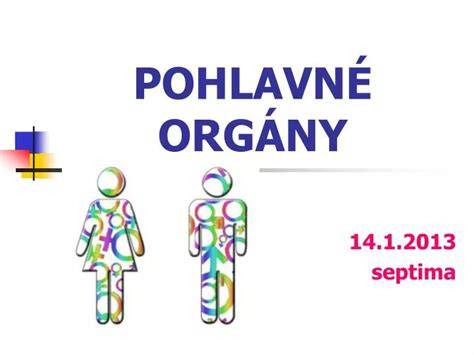 Obrázok 1: Mužské pohlavné orgány a ich umiestnenie