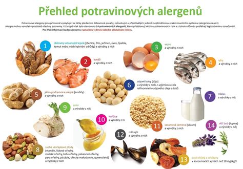 Infografika s piktogramami bežných alergénov v potravinách