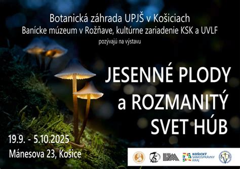 Infografika: Botanická klasifikácia húb a ich vzťah k rastlinám