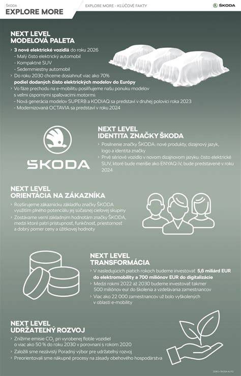 Infografika ukazujúca kľúčové fakty o nehode a prioritné kroky záchranných zložiek