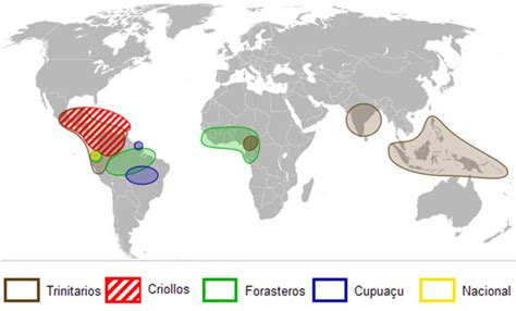 Mapa trvalo udržateľného pestovania kakaa v Ghane a okolí