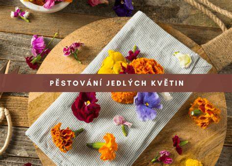 Infografika: Spôsob používania jedlých kvetov v kuchyni a pekárstve