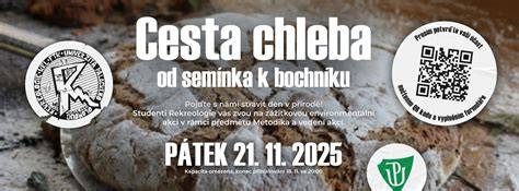 Infografika: Cesta chleba od zrna k bochníku