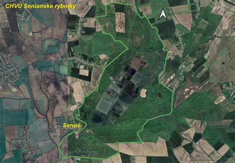 Obrázok: vizuálna mapa rôznych druhov domáceho sirupu a ich surovín