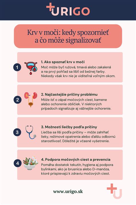 Infografika: Riziká a prevencia v konzumácii mäsa