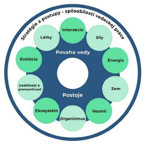 Infografika: CHOCHP - kľúčové časti a liečebné postupy