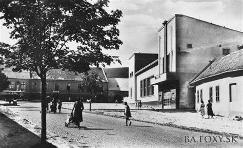 Rača Detvianska: obrázok surovín a postupov