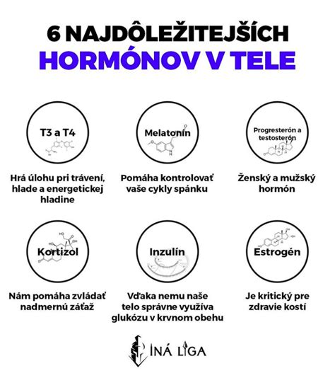 Schéma: Hormóny v tehotenstve a ich vplyv na chuťové preferencie