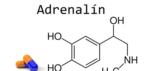 Infografika: Biochemické pochody tyrozínu v tele (dopamín, noradrenalín, adrenalín, melanín a hormóny štítnej žľazy)