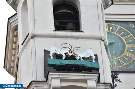 Ilustrácia zakázaného stromu v raji - symbol poznania a skúšky