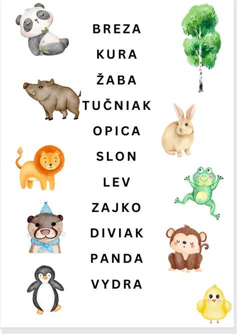 Obrázok so štartérom a autolýzou