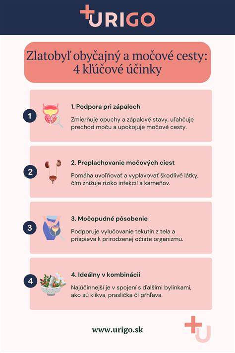 Infografika: Zloženie a cesty zmrzlinovej textúry