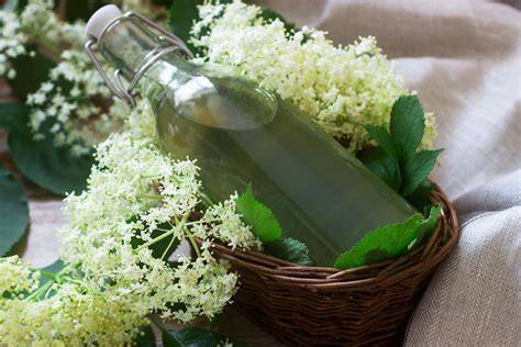Perfektný recept na jednoduchý bazový sirup - fotografia kvietkov a hotového sirupu