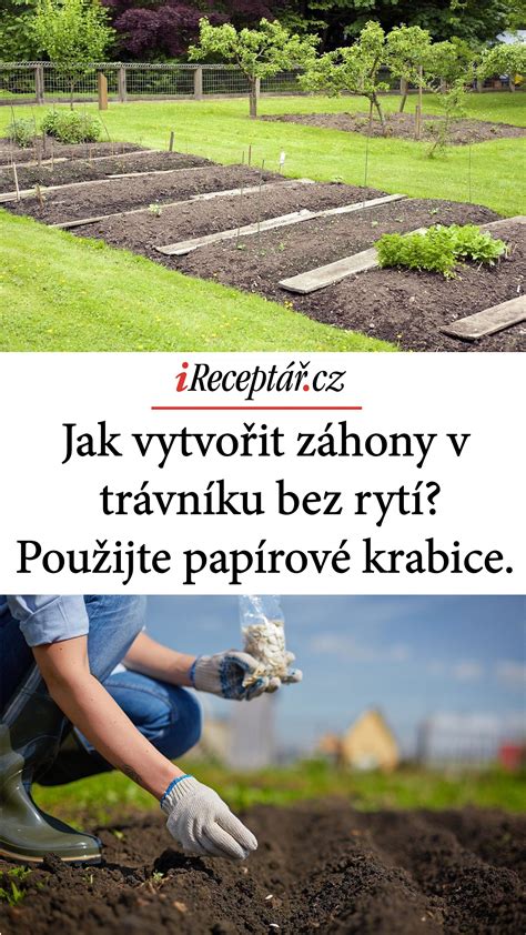 Infografika: Instantné záhony a postupy bez rýľovania