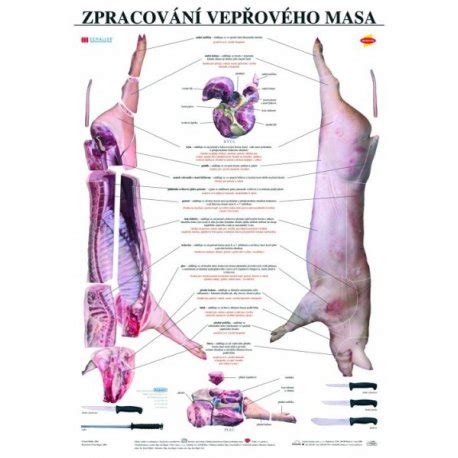 Schéma pomalého pečenia mäsa