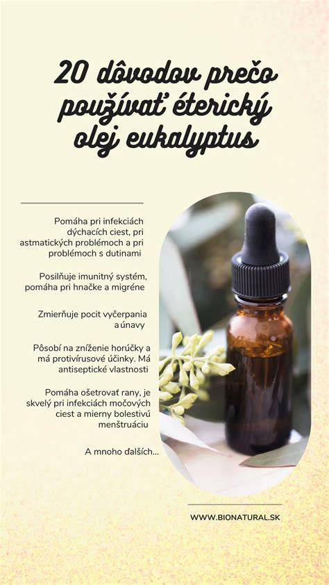 Eukalyptus - infografika pôsobenia na dýchaciu sústavu