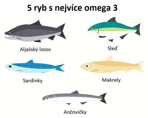 Infografika: Omega-3 v rybách a ich zdravotné účinky