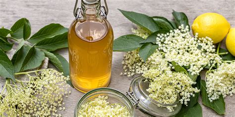 Bazový sirup grafika: schéma prípravy a zloženie