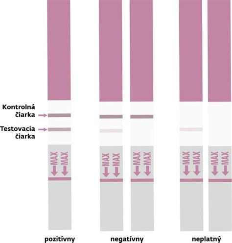 Infografika: Časovanie ovulácie, platené plodné okno a signály tela