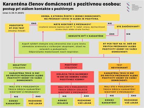 Infografika: Základné suroviny a postup domácej čokolády