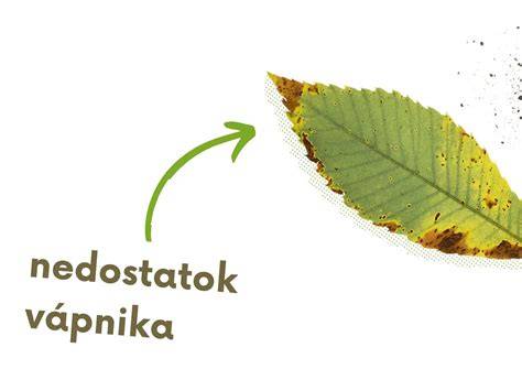 Tabuľka najčastejších problémov a riešení
