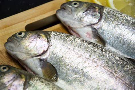 Ikona čerstvosti ryby: oči, koža, žiabre, mäso