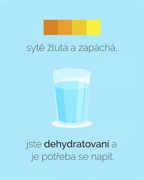 Infografika: Teplotný režim a hygienické postupy pri preprave vareného jedla