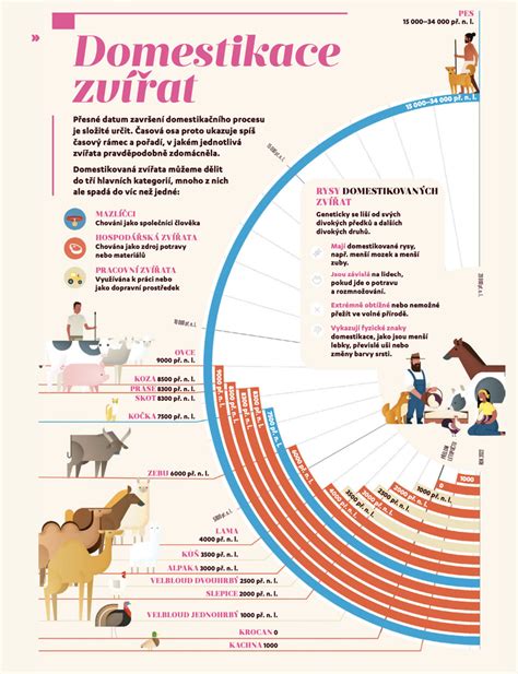 infografika_prehľad_legislatívy_koně_na_mäso