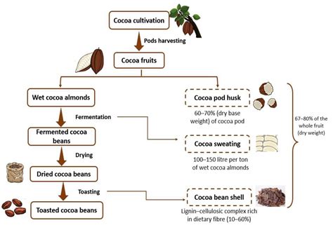 diagram_fermentacia_kakao