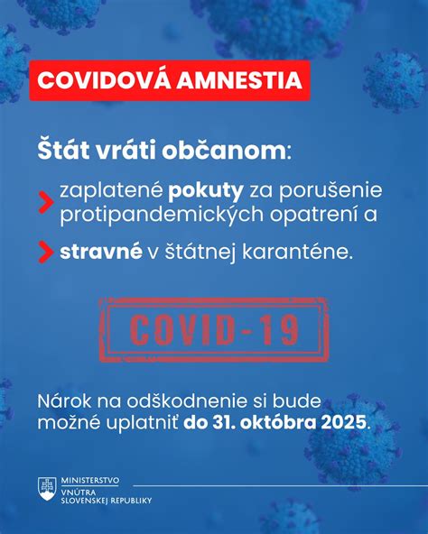Infografika: Prehľad typov príspevkov na stravovanie starších osôb v mestách a obciach