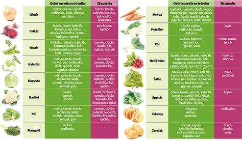 Infografika: Ako postupuje dusenie zeleniny a čo sa zachováva vo vitamínoch