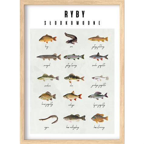 Ryby a ich duchovný svet, infografika o znamení Rýb