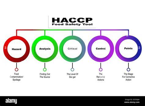 Schéma toku činností a HACCP v zmrzlinárni