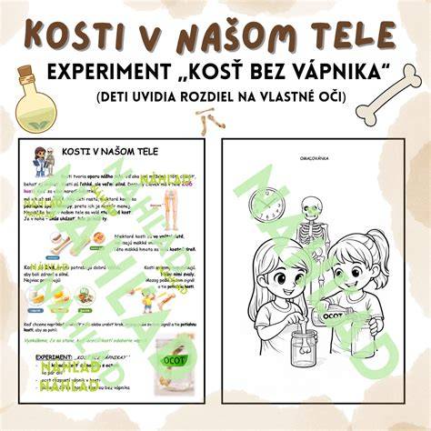 Diagram vstrebávania mikronizovaného vápnika v tele.