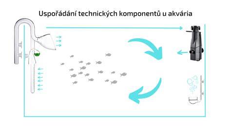 Infografika: Hlavné faktory kvality vody v akváriu a ich vzájomná súvislosť