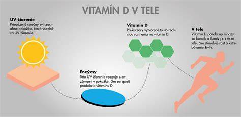 Infografika: Úloha vápnika v tele a vstrebávanie s vitamínom D