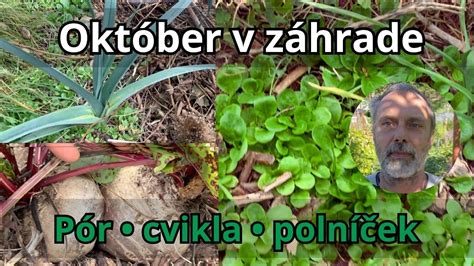 Zeler a cvikla v záhrade