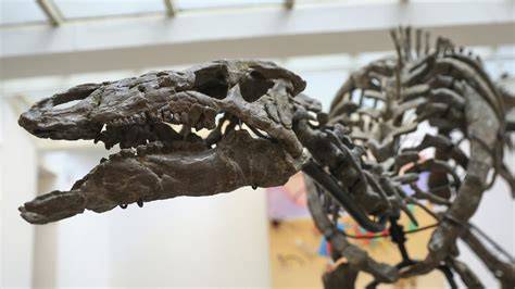 Obrázok: Dinosaura kostra z marcipánu na torte